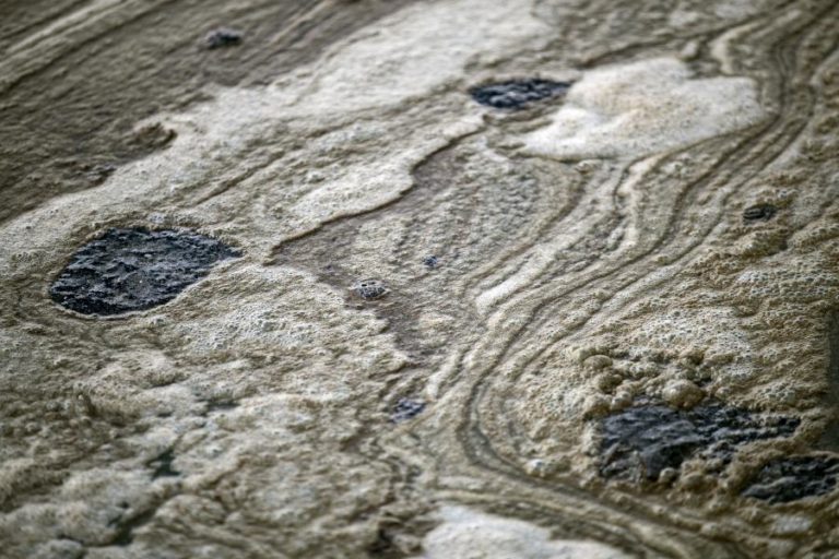 Mais de 900 pessoas prosseguem trabalho de limpeza após derrame de petróleo na Califórnia