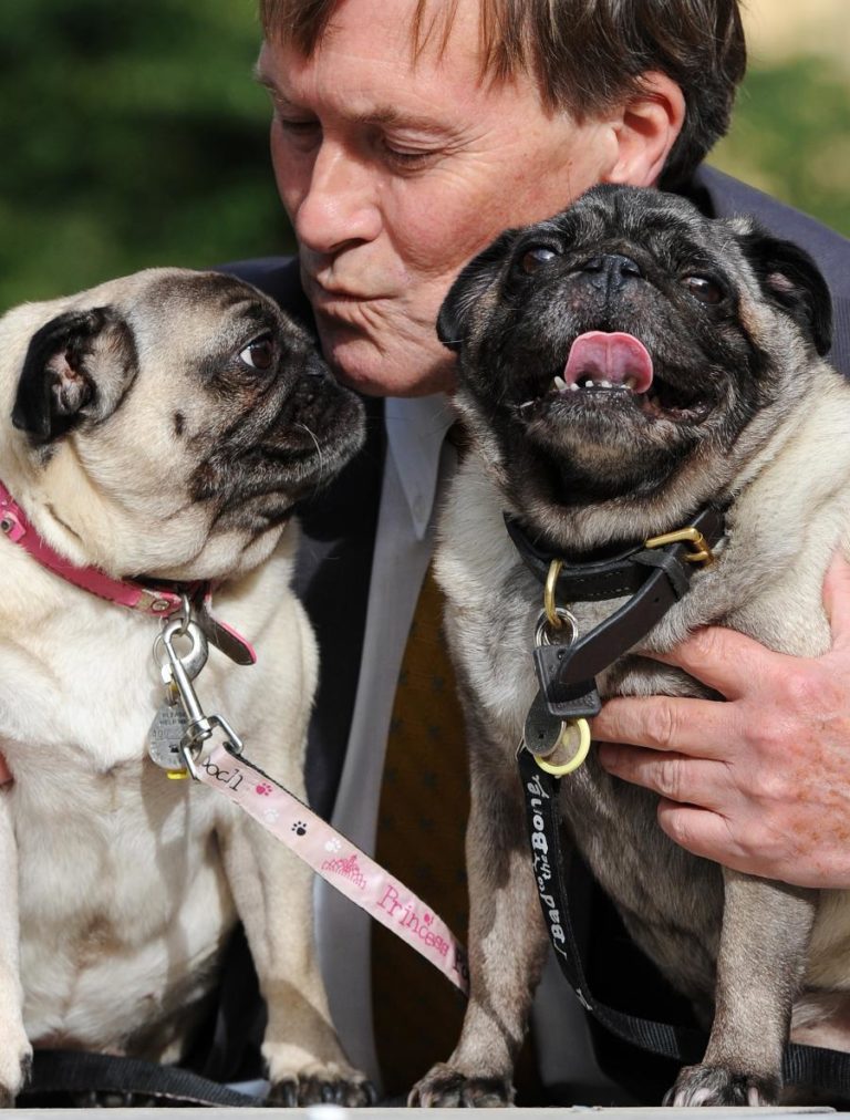 Morreu deputado britânico do Partido Conservador esfaqueado