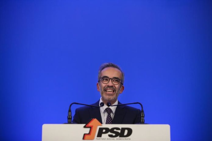 34548474.jpg