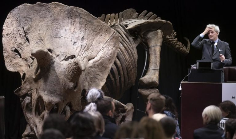 Esqueleto de dinossauro “Big John” leiloado por 6,6 milhões de euros, um recorde europeu