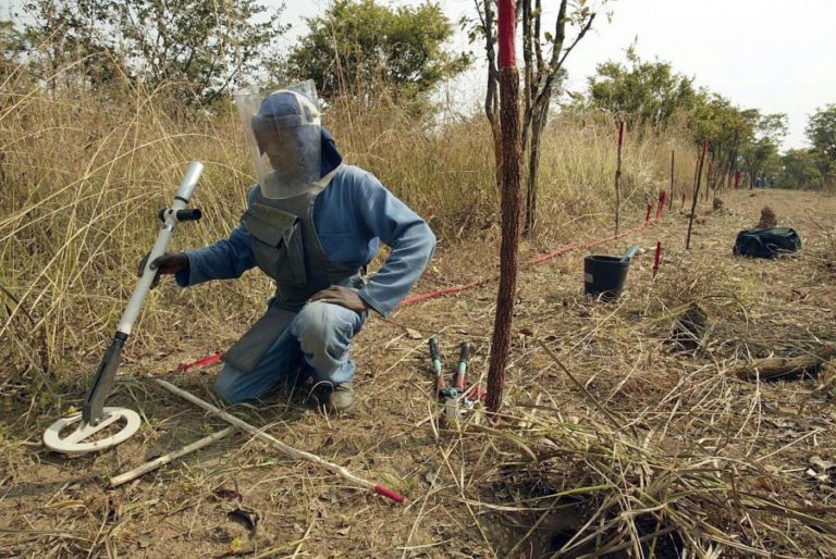 Angola pede ao Japão aprovação de apoio à desminagem proposto em 2018
