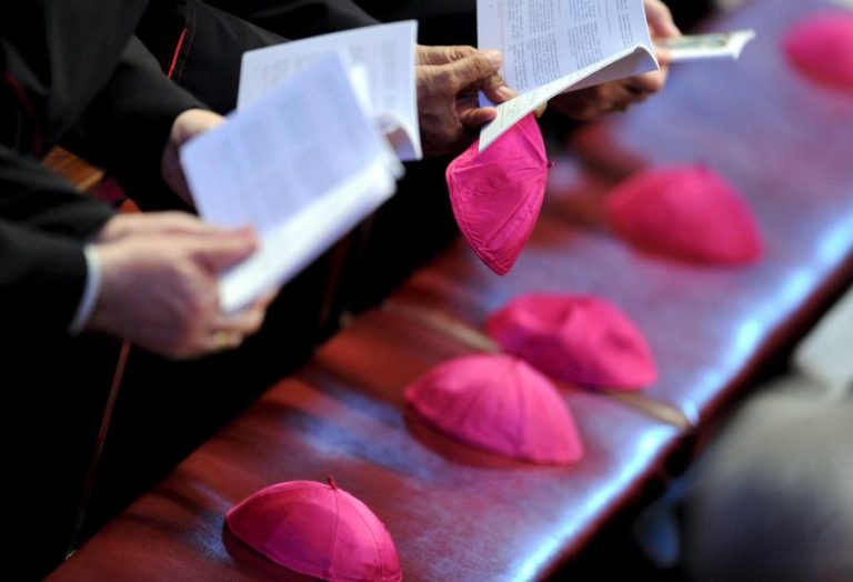 Bispos avançam com grupo coordenador nacional das comissões diocesanas de proteção de menores