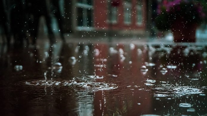 Foto: Vlad Chețan/Pexels Foto: Vlad Chețan/Pexels