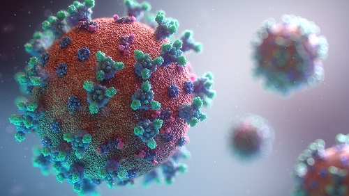 Foto: Fusion Medical Animation/Unsplash Foto: Fusion Medical Animation/Unsplash