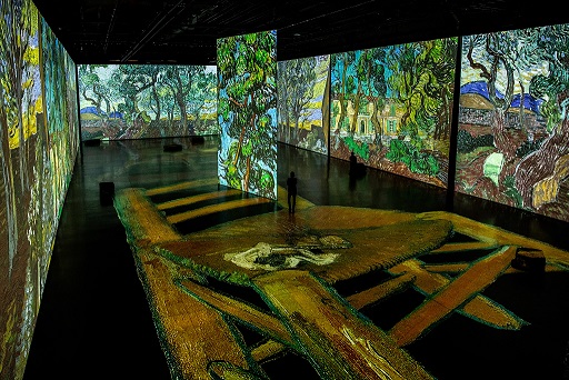 Foto: Imagine Van Gogh/Facebook