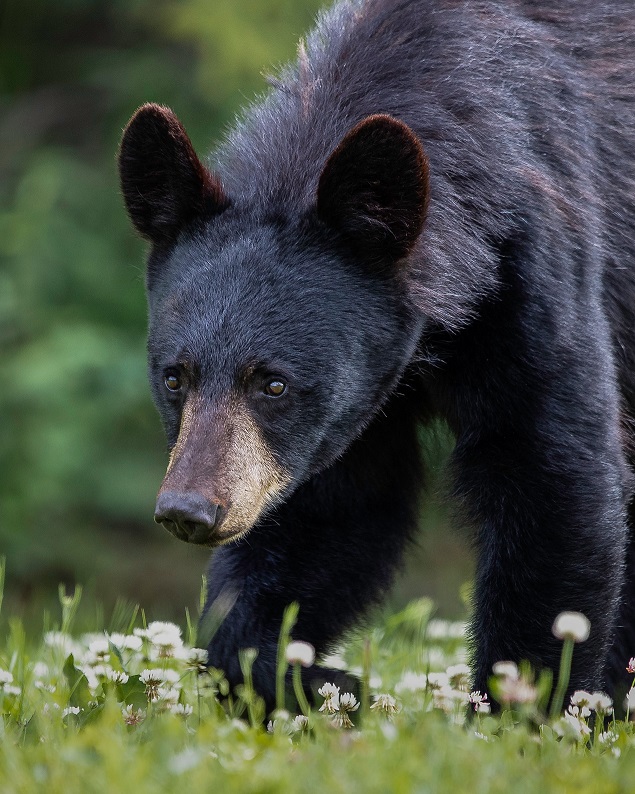 Foto: Pete Nuij/Unsplash Foto: Pete Nuij/Unsplash