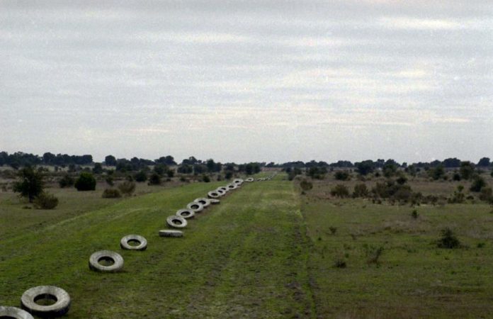 13890464.jpg