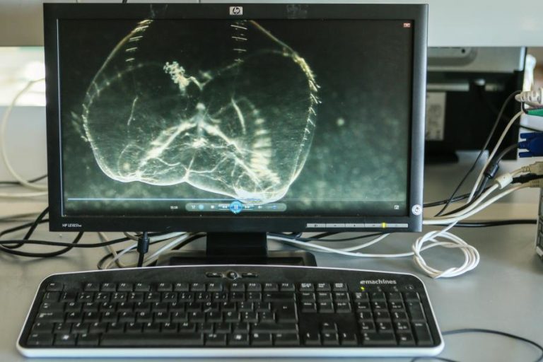 Tarifa social de Internet visa consumidores com baixos rendimentos e abrange universo de 780 mil