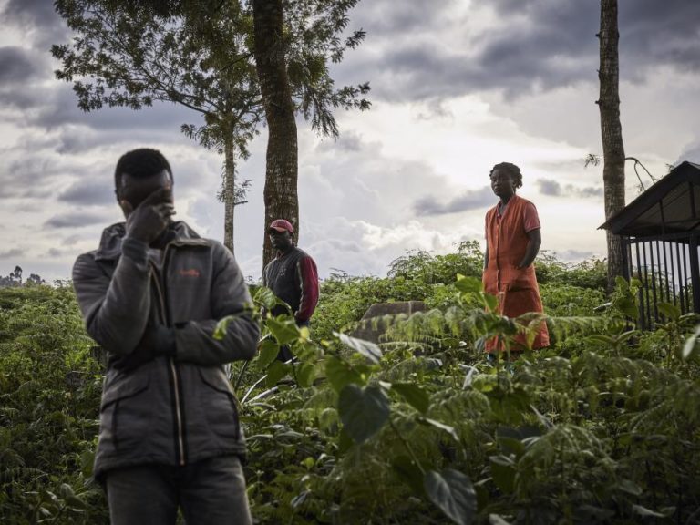 Mais de 500 civis mortos entre janeiro de 2019 e junho de 2021 em duas áreas do leste da RDCongo – ONU