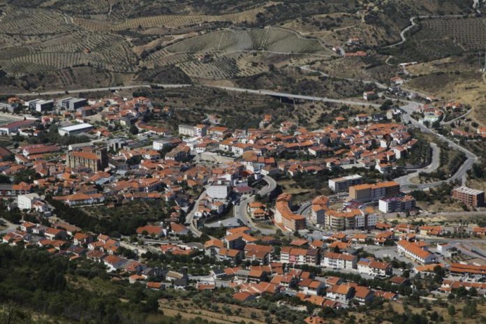 29515262.jpg