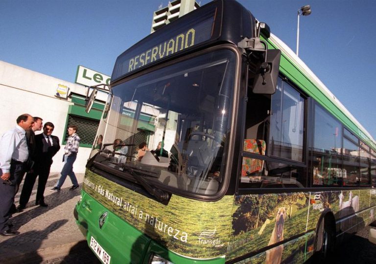 Adesão à greve de trabalhadores da Rodoviária de Lisboa ronda os 55% – empresa