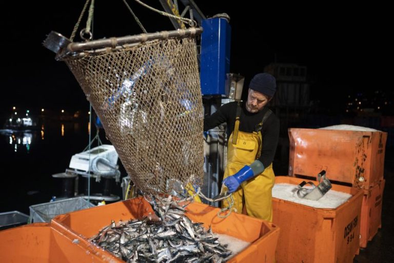 Bruxelas pede a Londres que resolva disputa de pescas com França até 10 de dezembro