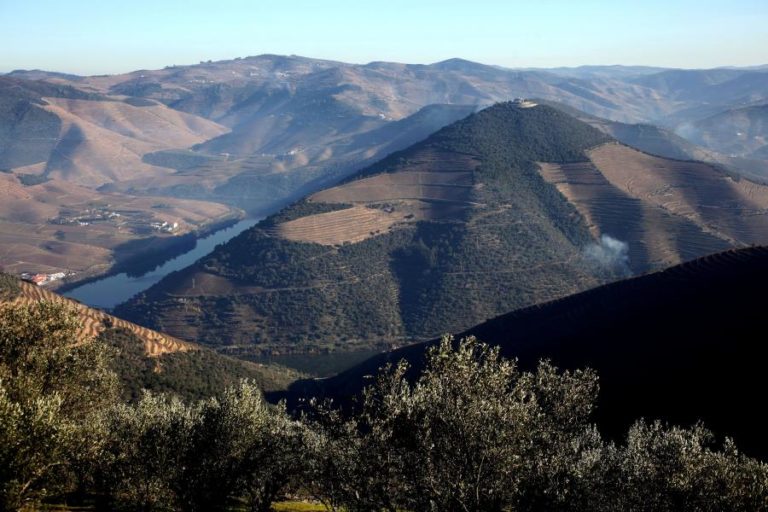 Marcelo evoca 20 anos do Alto Douro Vinhateiro como Património Mundial da UNESCO