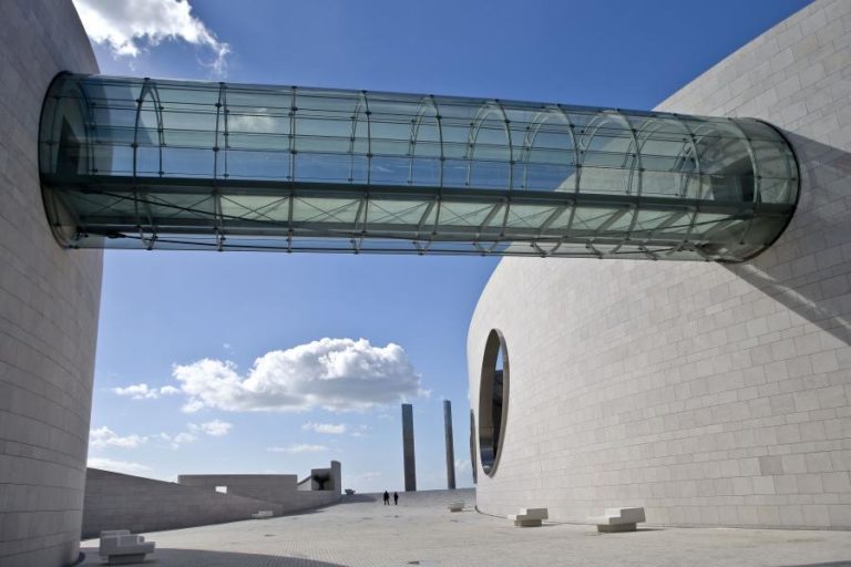 Cientistas do Centro Champalimaud investigam ligação entre cheiros e lugares