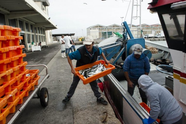 Ministros da Pescas da UE chegam a acordo para capturas em 2022