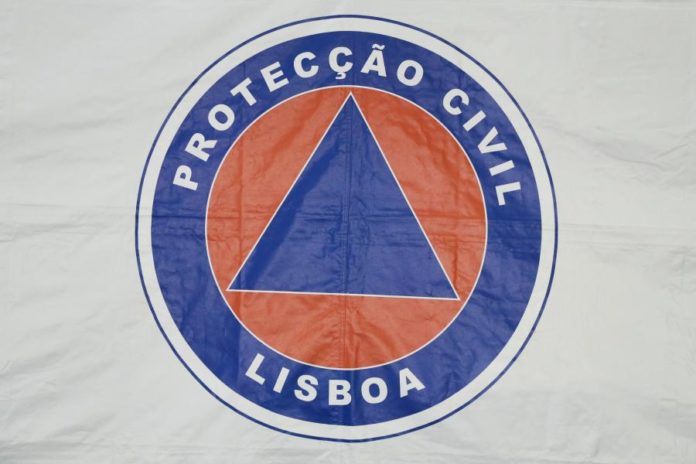28760375.JPG
