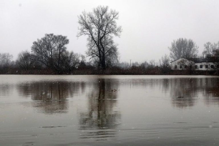 Pesticidas encontrados em até um terço de águas superficiais na Europa
