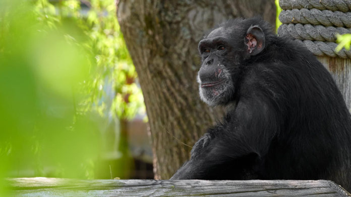 Foto: Fauna Foundation/Facebook Foto: Fauna Foundation/Facebook