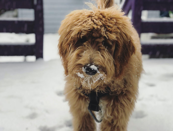 Foto: Jesse Elliott/Unsplash Foto: Jesse Elliott/Unsplash