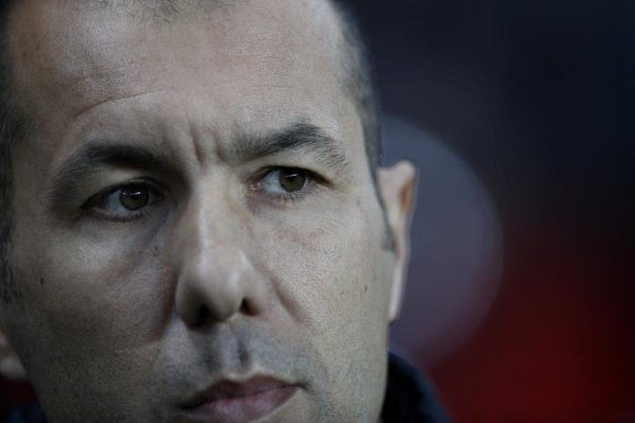 22293531.jpg