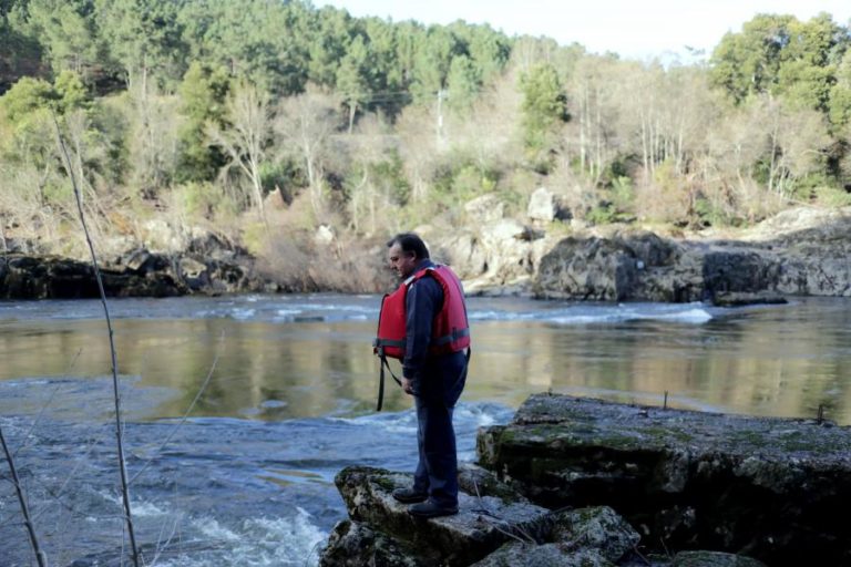Pouca lampreia mas boa de boa qualidade no início da safra no Alto Minho