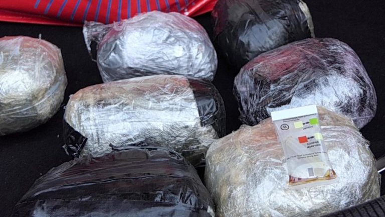 Polícia moçambicana detém dois homens com 15 quilos de heroína