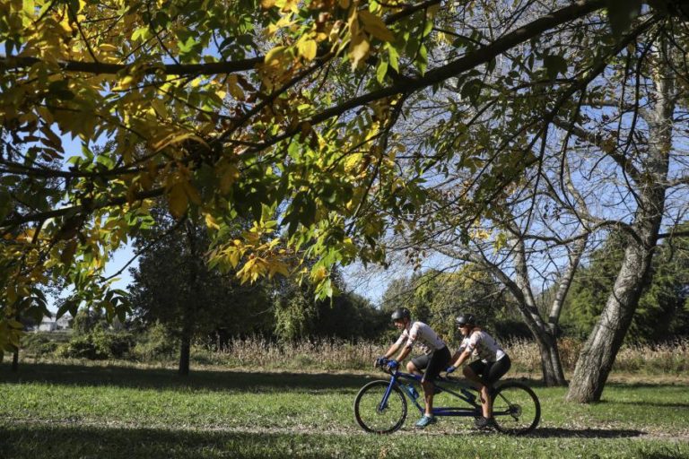 Legislativas: PS quer apostar nas energias renováveis e na descarbonização