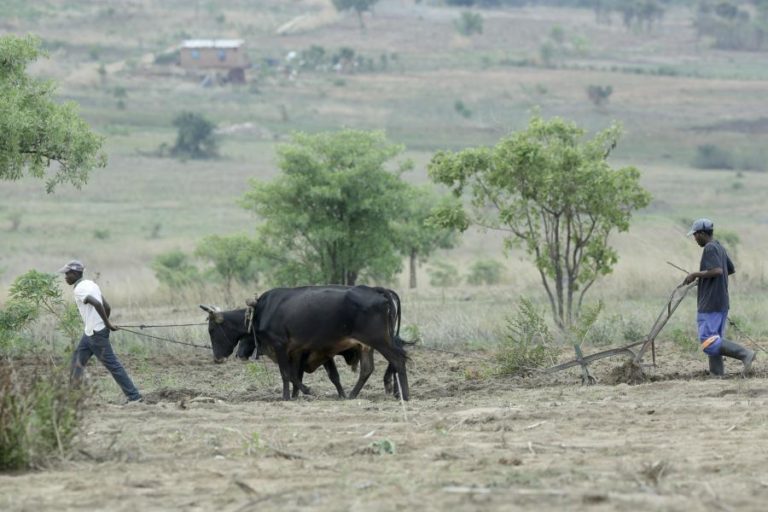 Zimbabué confirma na ONU acordo de compensação aos agricultores expropriados há duas décadas