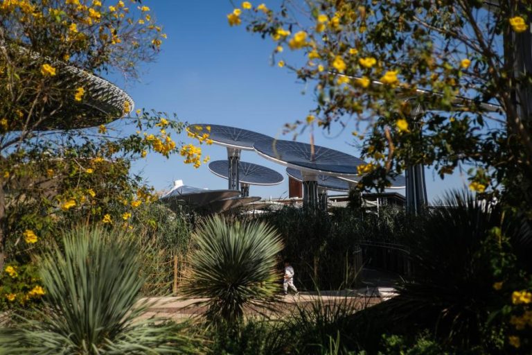 ExpoDubai: Pavilhão de Portugal sem “grandes estragos” apesar das chuvas fortes – AICEP