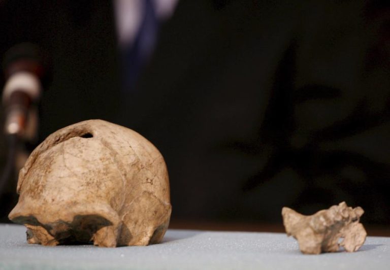 Homo Sapiens poderá ser 30.000 anos mais antigo do que se supunha
