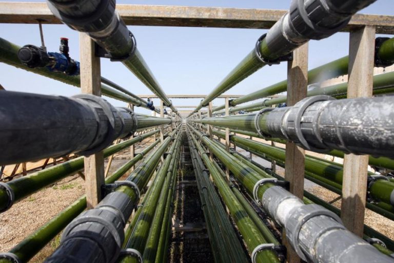 Importação de biocombustíveis em 2021 cinco vezes superior à de 2020 — ENSE