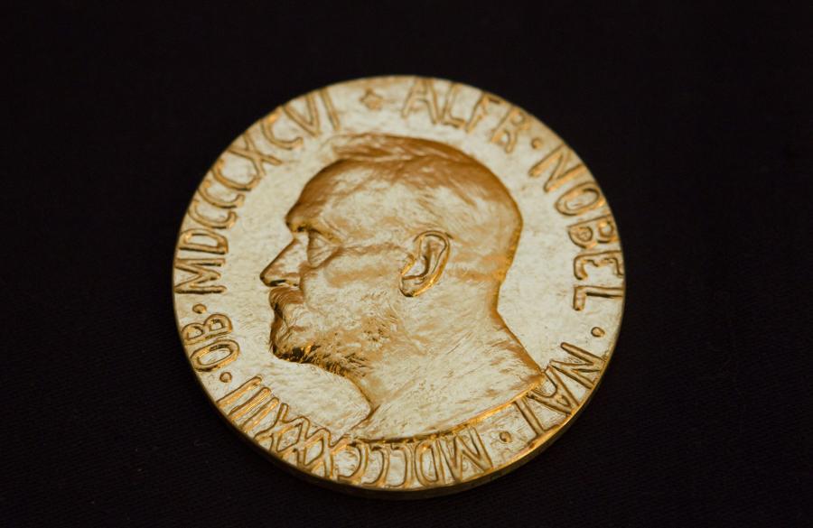 11871913.jpg