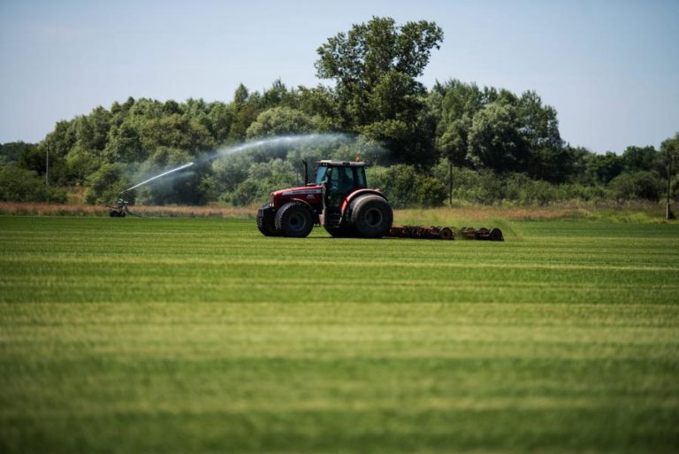 Candidaturas ao pedido único de ajudas agrícolas abertas até 30 de abril