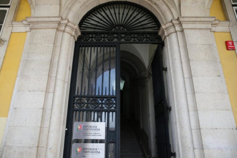 CNA defende ser imprescindível reforço do Ministério da Agricultura