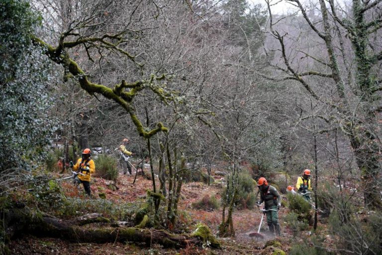 Organizações exigem controlo de espécies invasoras no Parque Nacional Peneda-Gerês
