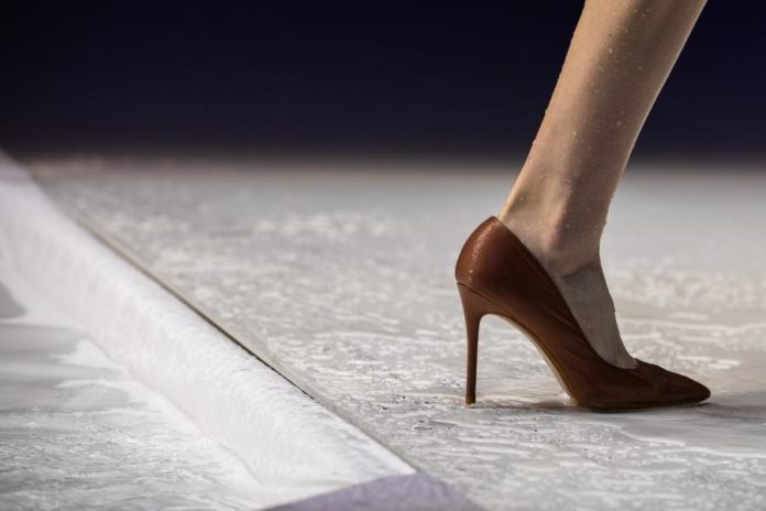 25903595.jpg