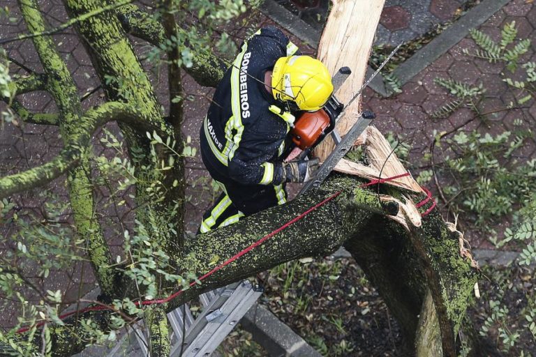 Quatro distritos do continente e Madeira sob aviso amarelo devido ao vento