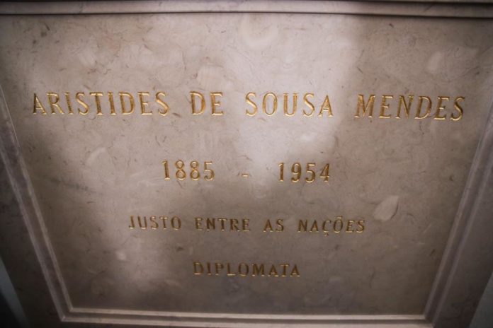 34571516.jpg