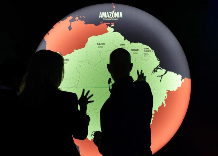 Covid-19: Próxima pandemia pode surgir da Amazónia – investigadoras