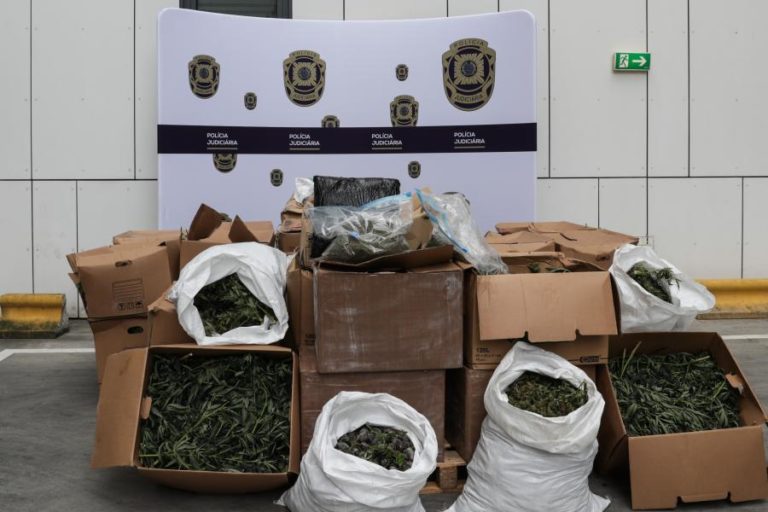 Quatro detidos por tráfico de canábis pertencem a “rede bem organizada” – PJ
