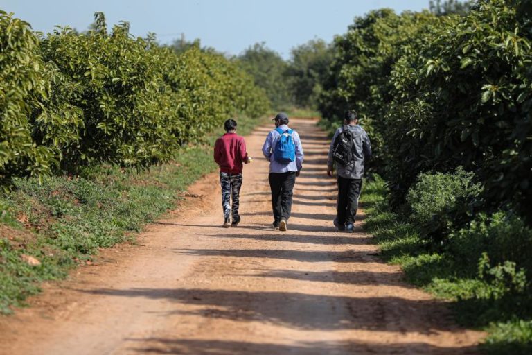 REPORTAGEM: Seca: Regadio no Algarve divide ambientalistas de autoridades e produtores