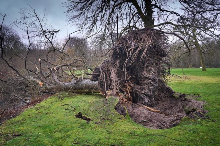 Norte da Europa atingido por terceira grande tempestade em cinco dias