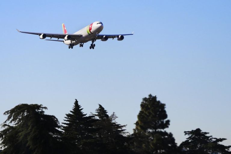 TAP prevê operar 12.000 voos semanais durante a época alta no verão