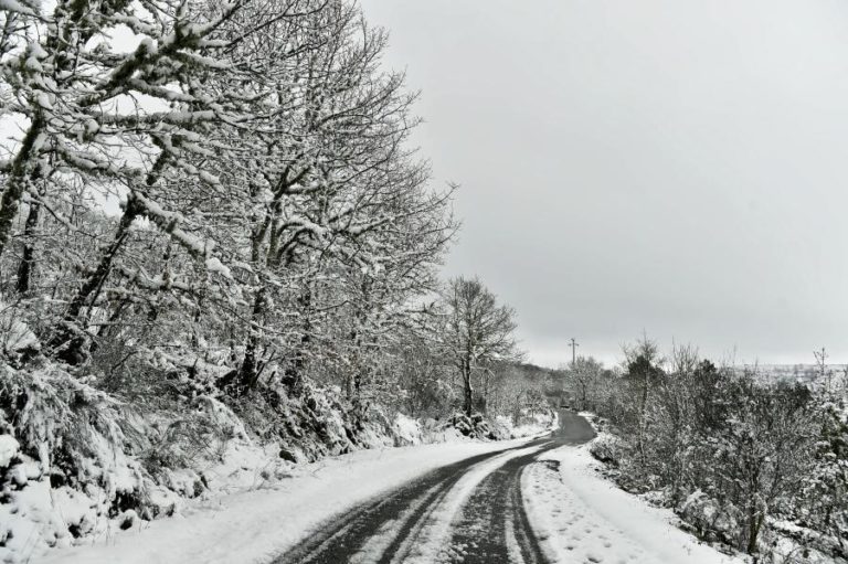 Oito distritos do continente sob aviso amarelo devido à queda de neve