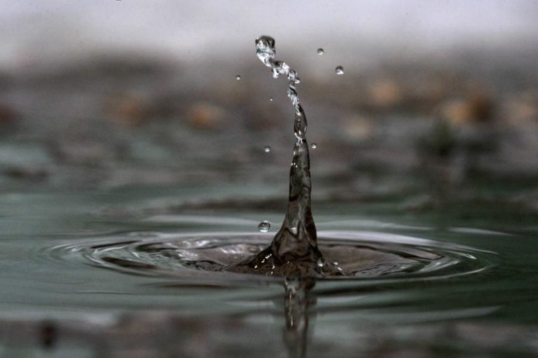 Dia Mundial da Água assinalado hoje com ações de sensibilização e reutilização de água
