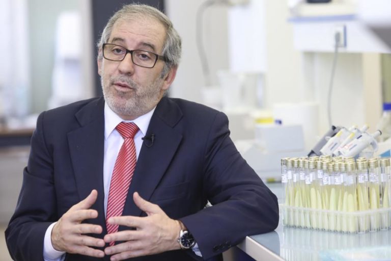 Covid-19: Foco passou de número de casos diários para hospitalização — INSA