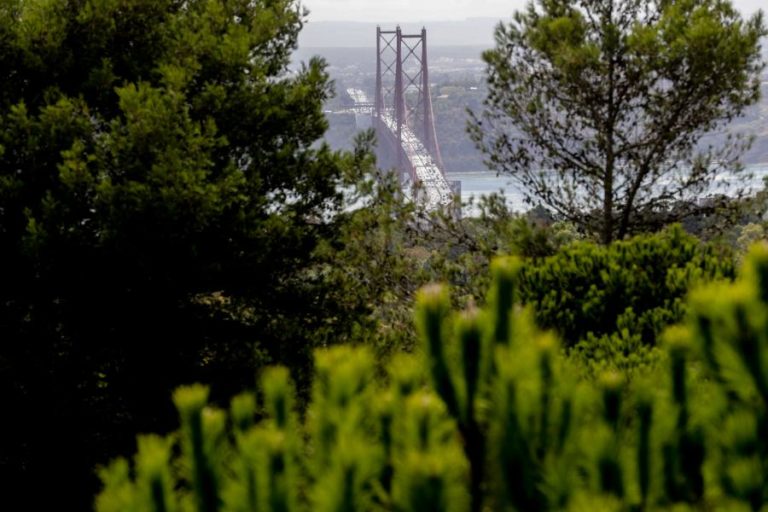 Utentes da ponte 25 de Abril buzinaram contra preços dos combustíveis