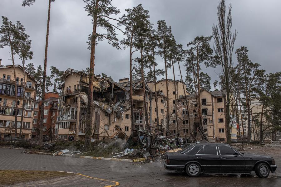 35967959.jpg