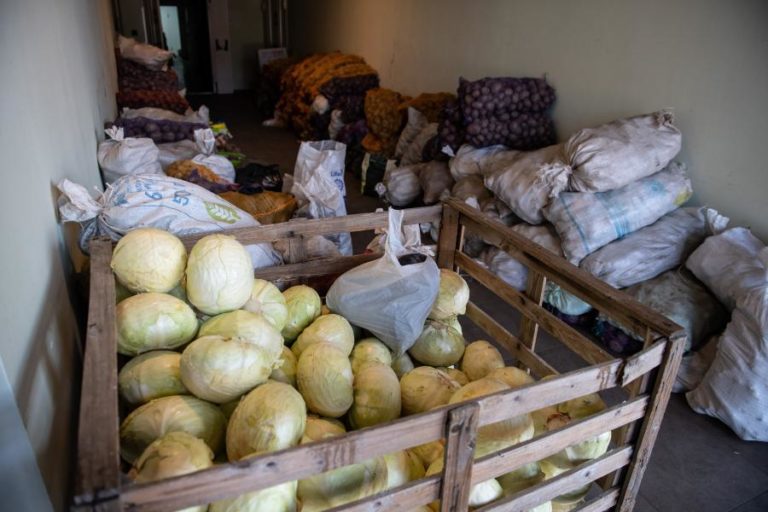 Ucrânia: Insegurança alimentar pode causar protestos em África – consultora