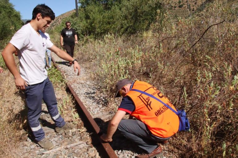 Concluídos estudos de viabilidade para reabrir Linha do Douro até Barca d’Alva – IP
